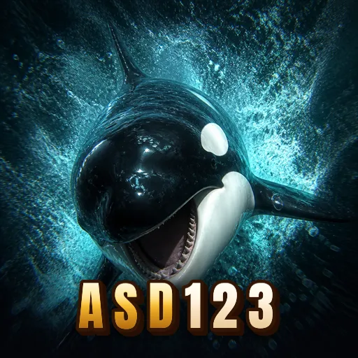 asd123 Installation Tutorial